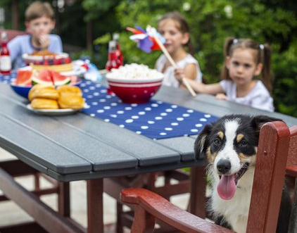 Recycled milk jug store picnic table